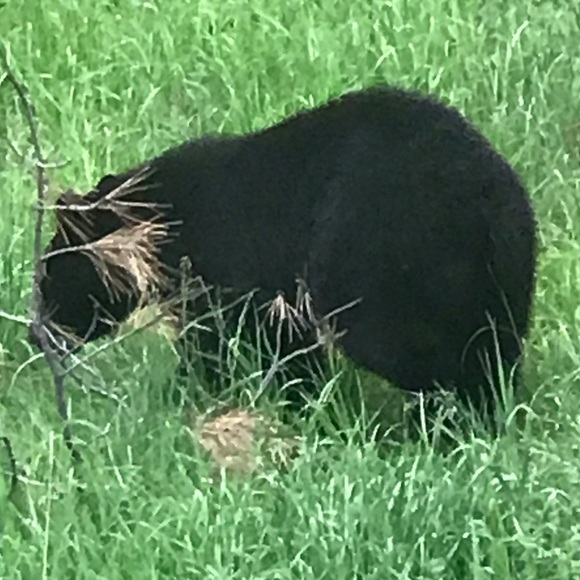 Oh, Hello π» - Picture 7 of 11